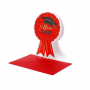 LEGAMI BG0847 LARGE GEETING CARD - YOU DID IT - COCKADE