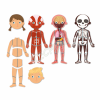 APLI MAGNETS THE HUMAN BODY 63U AP-18531