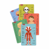APLI MAGNETS THE HUMAN BODY 63U AP-18531