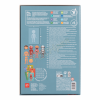 APLI MAGNETS THE HUMAN BODY 63U AP-18531
