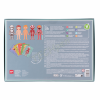APLI HUMAN BODY PUZZLE 240U AP-19438