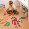 APLI HUMAN BODY PUZZLE 240U AP-19438