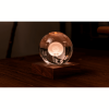 GINGKO Amber Crystal Light 3D laser Dandelion G025DL