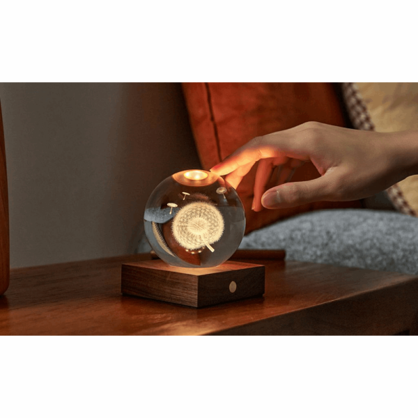 GINGKO Amber Crystal Light 3D laser Dandelion G025DL