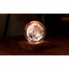 GINGKO Amber Crystal Light 3D laser World Globe G025WO
