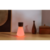GINGKO Pentagon Desk Bulb Mini Natural Walnut Wood G021WT2