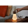 GINGKO Pentagon Desk Bulb Mini Natural Walnut Wood G021WT2