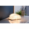 GINGKO Natural Wood Smart Book Light maple mini GK12W3