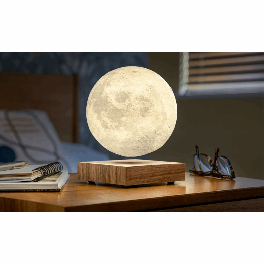 GINGKO SMART MOON LAMP NATURAL WALNUT G019WT