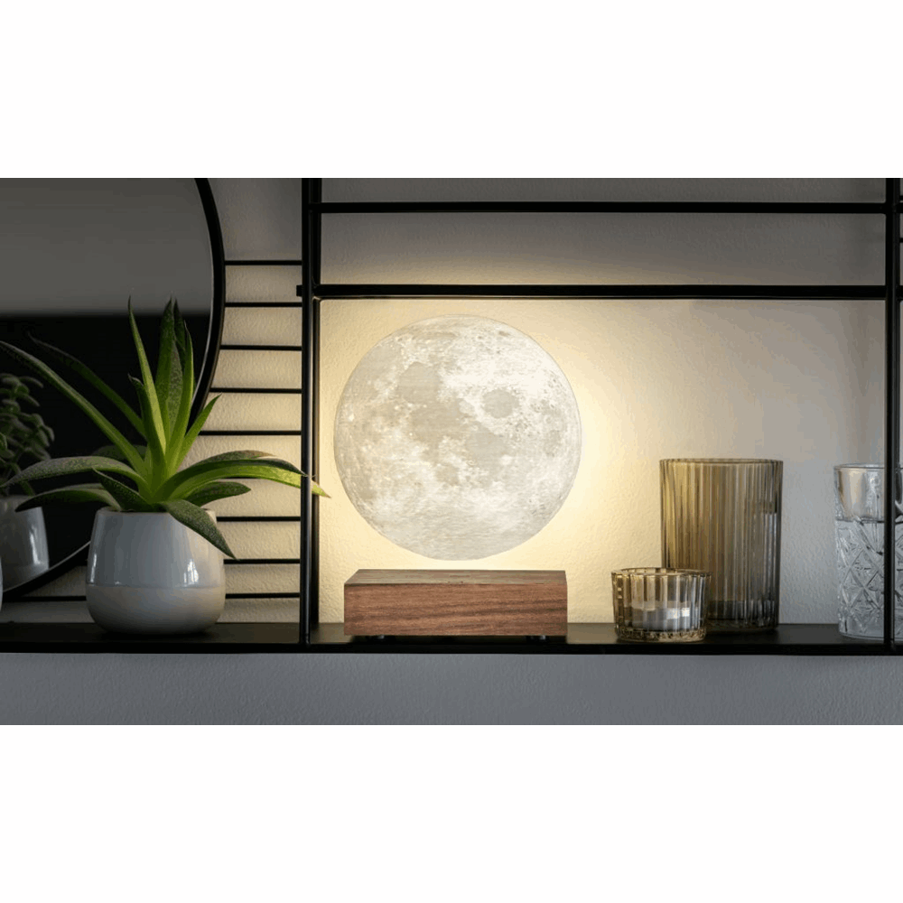 GINGKO SMART MOON LAMP NATURAL WALNUT G019WT