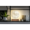 GINGKO SMART MOON LAMP NATURAL WALNUT G019WT