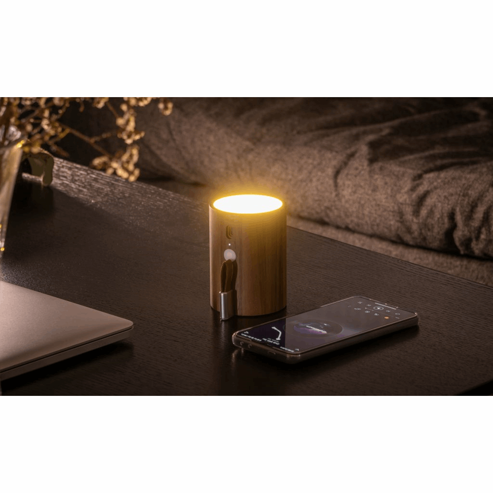 GINGKO DRUM LIGHT BLUETOOTH SPEAKER WALLNAT G020WT