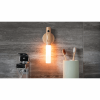 GINGKO SMART BATON LIGHT NATURAL WHITE ASH WOOD G016AH