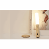 GINGKO SMART BATON LIGHT NATURAL WHITE ASH WOOD G016AH