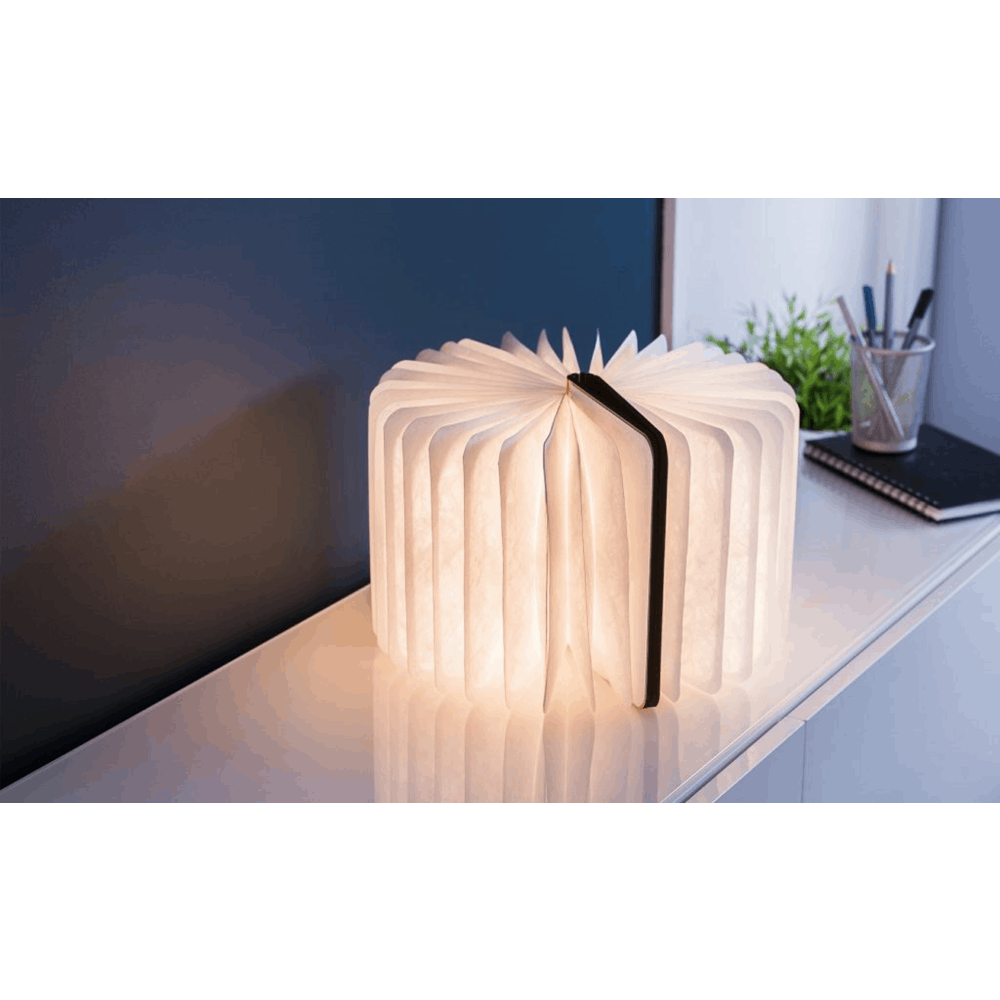 GINGKO NATURAL WOOD SMART BOOK LIGHT MAPLE LARGE GK12W2