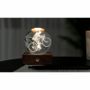 GINGKO AMBER CRYSTAL LIGHT 3D LASER CYCLIST G025CY