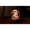 GINGKO AMBER CRYSTAL LIGHT 3D LASER HORSE RACING G025HR