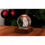 GINGKO AMBER CRYSTAL LIGHT 3D LASER KING FISHER G025KF