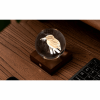 GINGKO AMBER CRYSTAL LIGHT 3D LASER KING FISHER G025KF