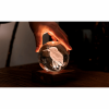 GINGKO AMBER CRYSTAL LIGHT 3D LASER KING FISHER G025KF