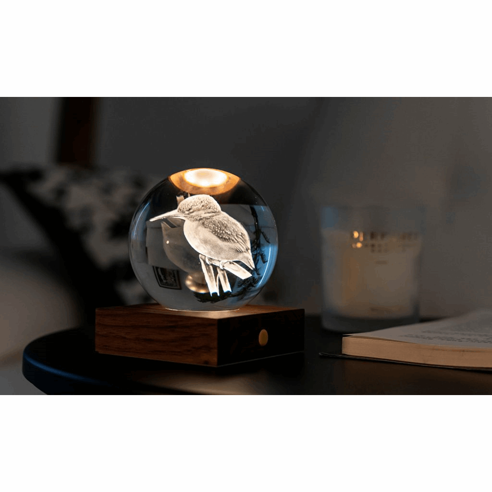 GINGKO AMBER CRYSTAL LIGHT 3D LASER KING FISHER G025KF