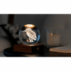 GINGKO AMBER CRYSTAL LIGHT 3D LASER KING FISHER G025KF