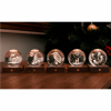 GINGKO AMBER CRYSTAL LIGHT 3D LASER KING FISHER G025KF