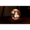 GINGKO AMBER CRYSTAL LIGHT 3D LASER THE OWL MOON G025OW