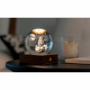 GINGKO AMBER CRYSTAL LIGHT 3D LASER THE OWL MOON G025OW