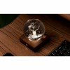GINGKO AMBER CRYSTAL LIGHT 3D LASER STAG G025SG