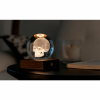 GINGKO AMBER CRYSTAL LIGHT 3D LASER SKULL G025SK