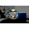 GINGKO AMBER CRYSTAL LIGHT 3D LASER TENNIS RACKET G025TE