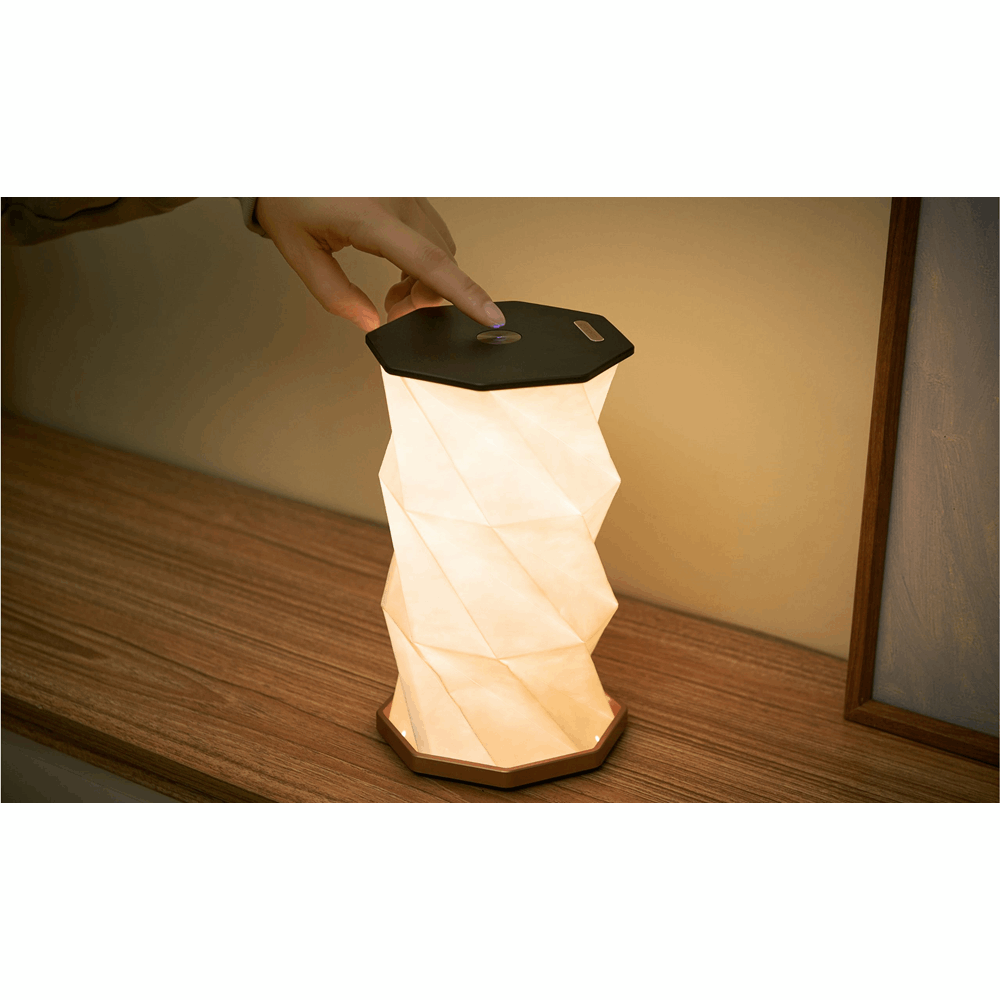 GINGKO TWIST HEXAGON LAMP BLACK G036BK