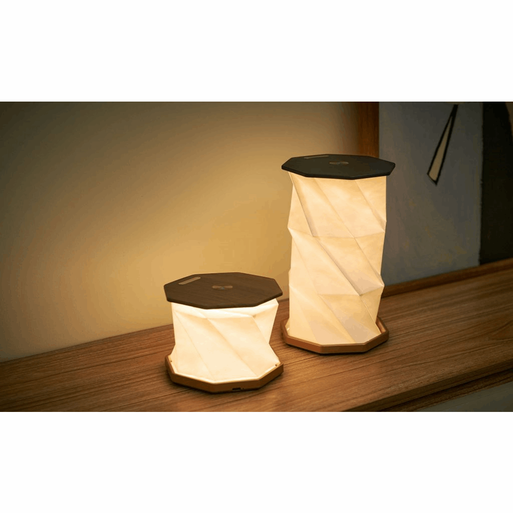 GINGKO TWIST HEXAGON LAMP BLACK G036BK