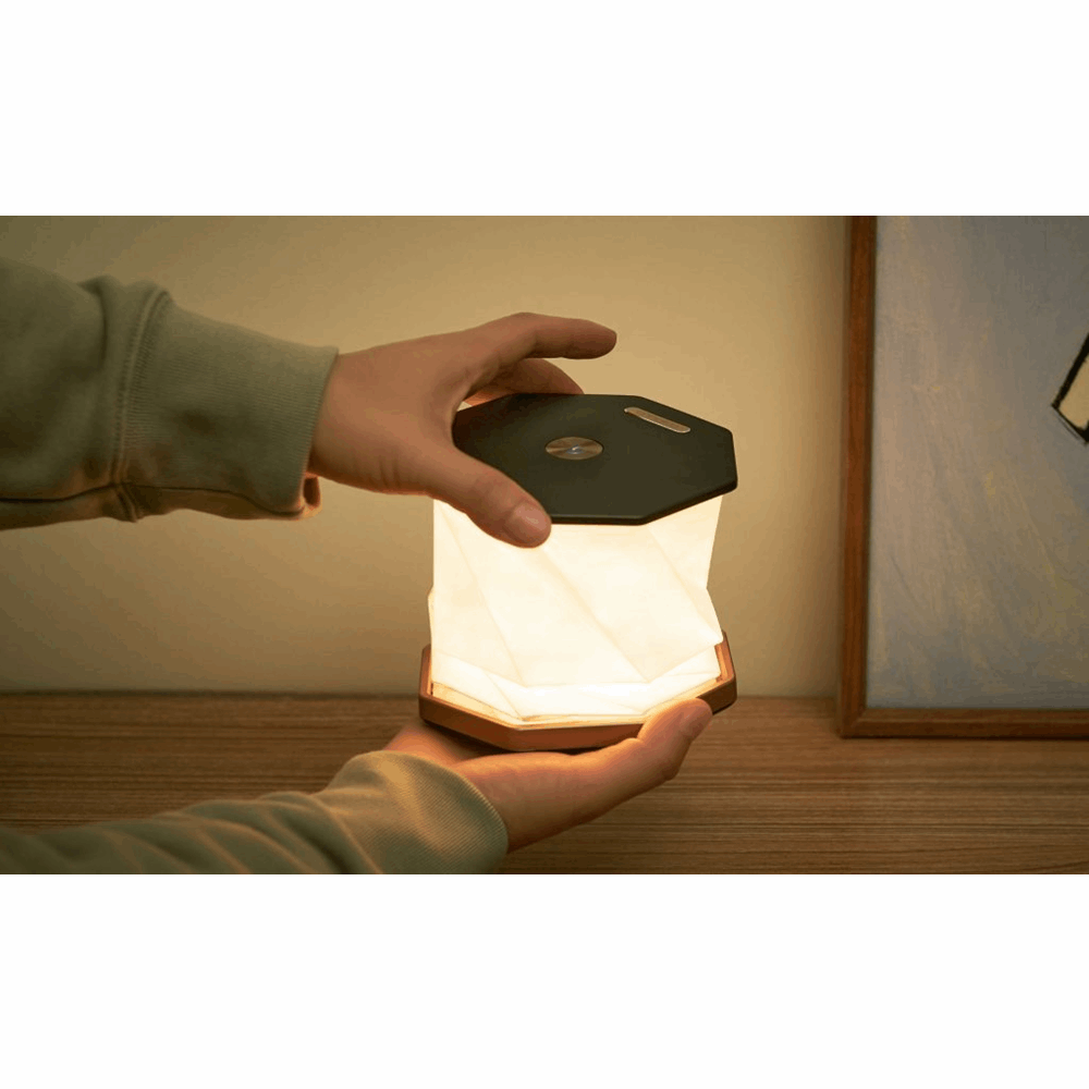 GINGKO TWIST HEXAGON LAMP BLACK G036BK