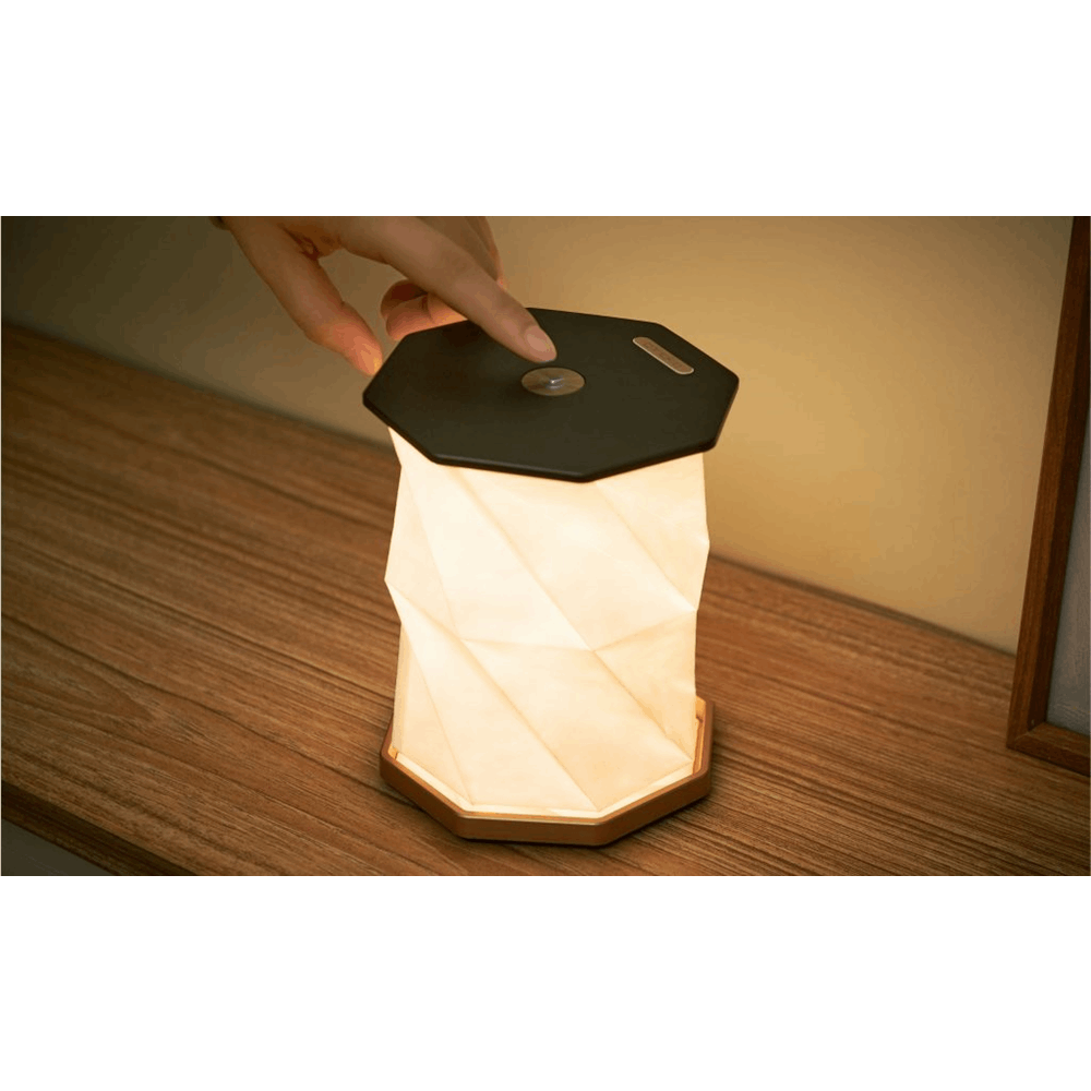 GINGKO TWIST HEXAGON LAMP BLACK G036BK