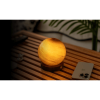 GINGKO G050M-SS ASTRA GLASS LIGHT MINI SAND STORM