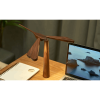 GINGKO DRAGON FLIGHT BALANCE LIGHT G023WT