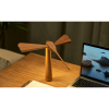 GINGKO DRAGON FLIGHT BALANCE LIGHT G023ME
