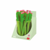LEGAMI CTSKIT2 CACTUS PEN