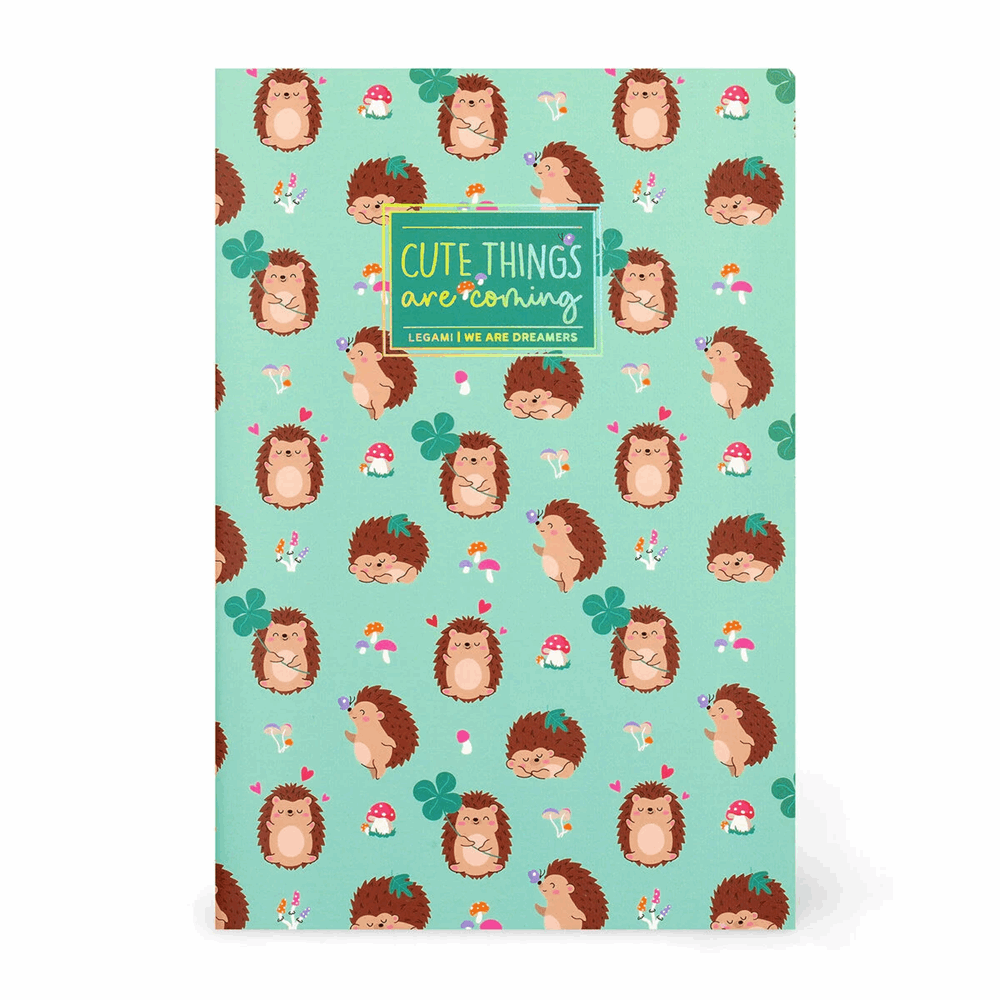 LEGAMI A6NOT0052 ΣΗΜΕΙΩΜΑΤΑΡΙΟ ΡΙΓΕ - QUADERNO - SMALL - HEDGEHOG