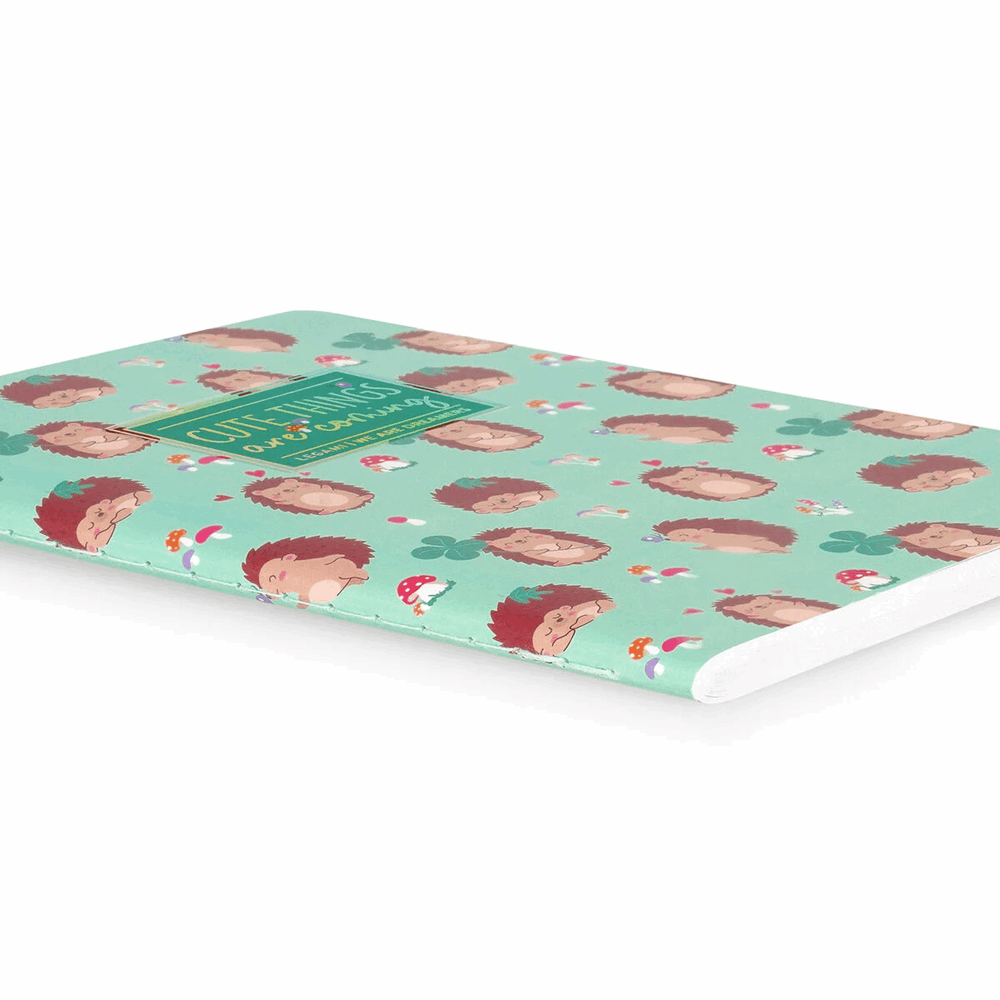 LEGAMI A6NOT0052 ΣΗΜΕΙΩΜΑΤΑΡΙΟ ΡΙΓΕ - QUADERNO - SMALL - HEDGEHOG