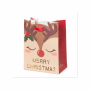 LEGAMI GB0623 XMAS GIFT BAG