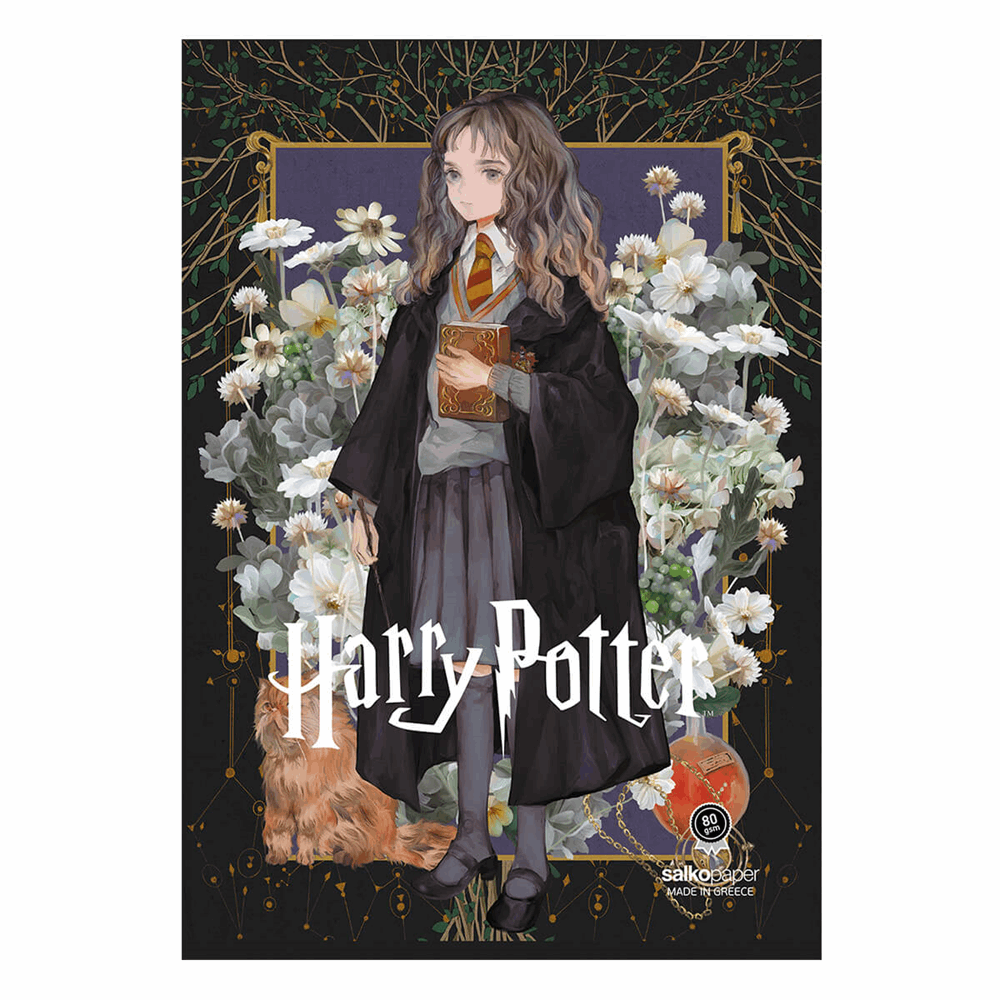 SALKO HARRY POTTER & DEATHLY HALLOWS V2 ΤΕΤΡΑΔΙΟ ΚΑΡΦΙΤΣΑ Β5(17Χ25) 40φ 7141
