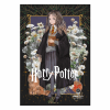 SALKO HARRY POTTER & DEATHLY HALLOWS V2 ΤΕΤΡΑΔΙΟ ΚΑΡΦΙΤΣΑ Β5(17Χ25) 40φ 7141