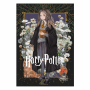 SALKO HARRY POTTER & DEATHLY HALLOWS V2 ΤΕΤΡΑΔΙΟ ΚΑΡΦΙΤΣΑ Β5(17Χ25) 40φ 7141