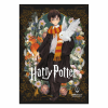 SALKO HARRY POTTER & DEATHLY HALLOWS V2 ΤΕΤΡΑΔΙΟ ΚΑΡΦΙΤΣΑ Β5(17Χ25) 40φ 7141