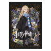 SALKO HARRY POTTER & DEATHLY HALLOWS V2 ΤΕΤΡΑΔΙΟ ΚΑΡΦΙΤΣΑ Β5(17Χ25) 40φ 7141
