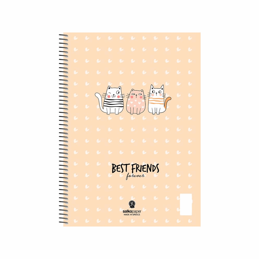 SALKO BEST FRIENDS ΤΕΤΡΑΔΙΟ ΣΠΙΡΑΛ Β5(17X25) 3Θ 90φ 6453