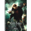 SALKO HARRY POTTER ΤΕΤΡΑΔΙΟ ΣΠΙΡΑΛ Α4(21X29) 4Θ 120φ 7209